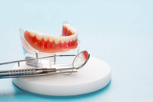 Latrobe, PA Holistic Dental Care Services Company